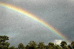 Rainbows