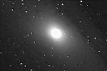 M31